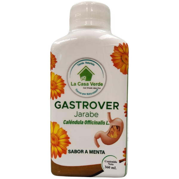 GASTROVER x 360ml
